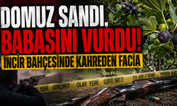 Karanlıkta gelen facia! Domuz sandığı babasını vurdu