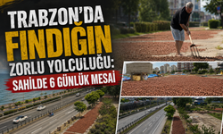 Trabzon’da sahil yolu fındık harmanına döndü