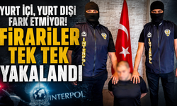 Türk polisinden Gürcistan’da büyük operasyon!