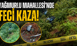 Virajı dönemeyen araç uçuruma yuvarlandı!