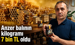 Anzer balında hasat tamamlandı, fiyat netleşti