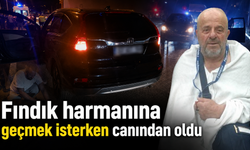 Yolun karşısına geçerken otomobil çarptı