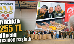 TMO Giresun’da fındık alımına başladı
