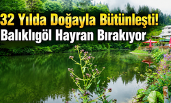 Sis,çam ormanları ve Balıklıgöl... Trabzon'un saklı hazinesi ilgi odağı