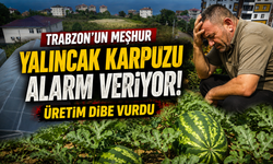 Yalıncak karpuzunda tehlike çanları!