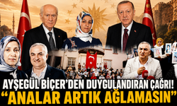 "Analar artık ağlamasın!" Diyarbakır annelerinden dikkat çeken mesaj