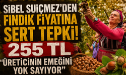 YENİ Parti Milletvekili Suiçmez: "255 tl,üreticiye reva görülemez"