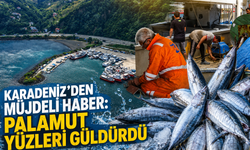 Karadeniz’de sezon öncesi palamut sürprizi