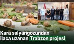 Trabzon’da salyangozdan katma değer üretilecek