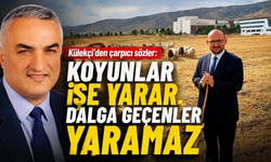 Muş’taki fotoğraf tartışmasına Külekçi de katıldı