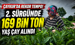 2. sürgünde yoğun tempo! ÇAYKUR fabrikaları aralıksız çalışıyor