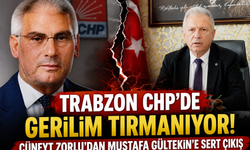 Cüneyt Zorlu'dan Mustafa Gültekin'e Çok Sert Sözler! "Siyasi Karşılığın Yok"
