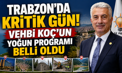 Vehbi Koç'tan Trabzon turu! Esnaf,altyapı ve Uzungöl mesaisi