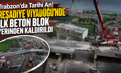 İlk adım atıldı! Reşadiye Viyadüğü'nün yıkımında kritik aşama