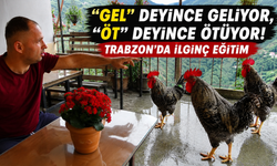 Trabzon’da böylesi görülmedi! Horozlarına komut öğretti