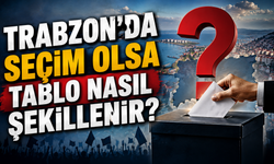 Trabzon'da vekil dağılımı nasıl olacak?