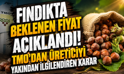 Fındık hasadı öncesi kritik karar! TMO alım fiyatlarını açıkladı