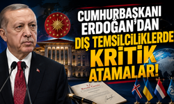 Resmi Gazete'de yayımlandı! Büyükelçiliklerde görev değişimi
