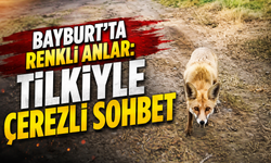 “Gel bakalım” dedi, tilki elinden çerez yedi
