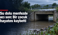 Espiye’de iki çocuk su dolu menfeze düştü