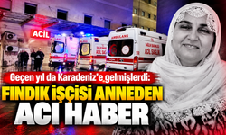 Karadeniz’e fındık toplamaya gelmişti:Acı haber