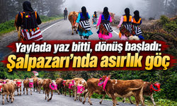 Dağlardan köylere uzanan asırlık yolculuk başladı