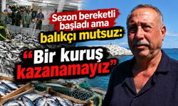 Sezon bereketli başladı ama balıkçı mutsuz