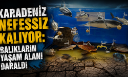 KTÜ’den çarpıcı uyarı: Karadeniz hızla tehdit altına giriyor