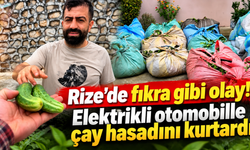 İki salatalığa 20 bez çay!