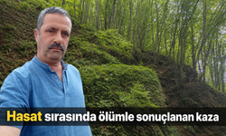 Fındık toplarken dengesini kaybetti, yaşamını yitirdi