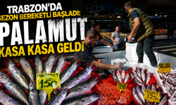 Denizden bereket fışkırdı: Palamutun fiyatı belli oldu