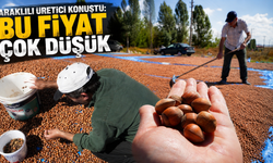 Araklı’nın fındığı Bayburt güneşine emanet