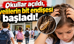 Çocukların saçındaki gizli tehlike: Baş biti