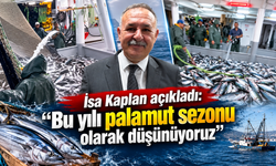 Trabzon’da palamut patlaması: 18 günde 1.300 ton