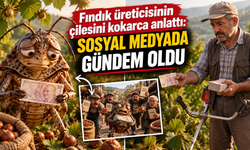 Fındıkta hesabı gören kokarca bile şaşırdı