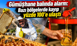 Arıcılar uyardı: “Tanıdık üreticiden, analizli bal alın”