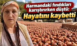 Harmanda çalışırken yüksekten düştü: Kurtarılamadı
