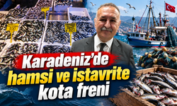 Hamside 45 bin ton sınırı: Kota dolunca av duracak