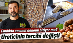 Trabzon’da fındıkta yeni kazanç kapısı