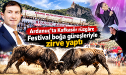 Konserler, halk oyunları ve boğa güreşleri