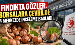Fındık piyasasına Bakanlık merceği: Müfettişler sahaya indi