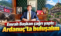 Boğalar arenaya,Ardanuç festivale hazırlanıyor