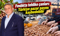 Fındıkta TMO ile serbest piyasa makası açıldı