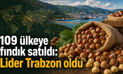 Türkiye fındık ihracatında değer artışı dikkat çekti
