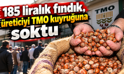 Serbest piyasa düştü, TMO önleri doldu