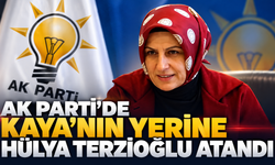 Erdoğan’dan yeni görevlendirme