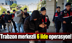 Siber suç şebekelerine yönelik operasyon