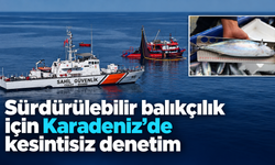 Denetimler karadan,havadan ve denizden