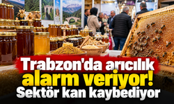 Trabzon'da arıcılık alarmı! Sektör kan kaybediyor