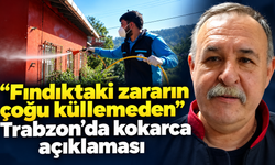 Fındıktaki kaybın nedeni kokarca mı?